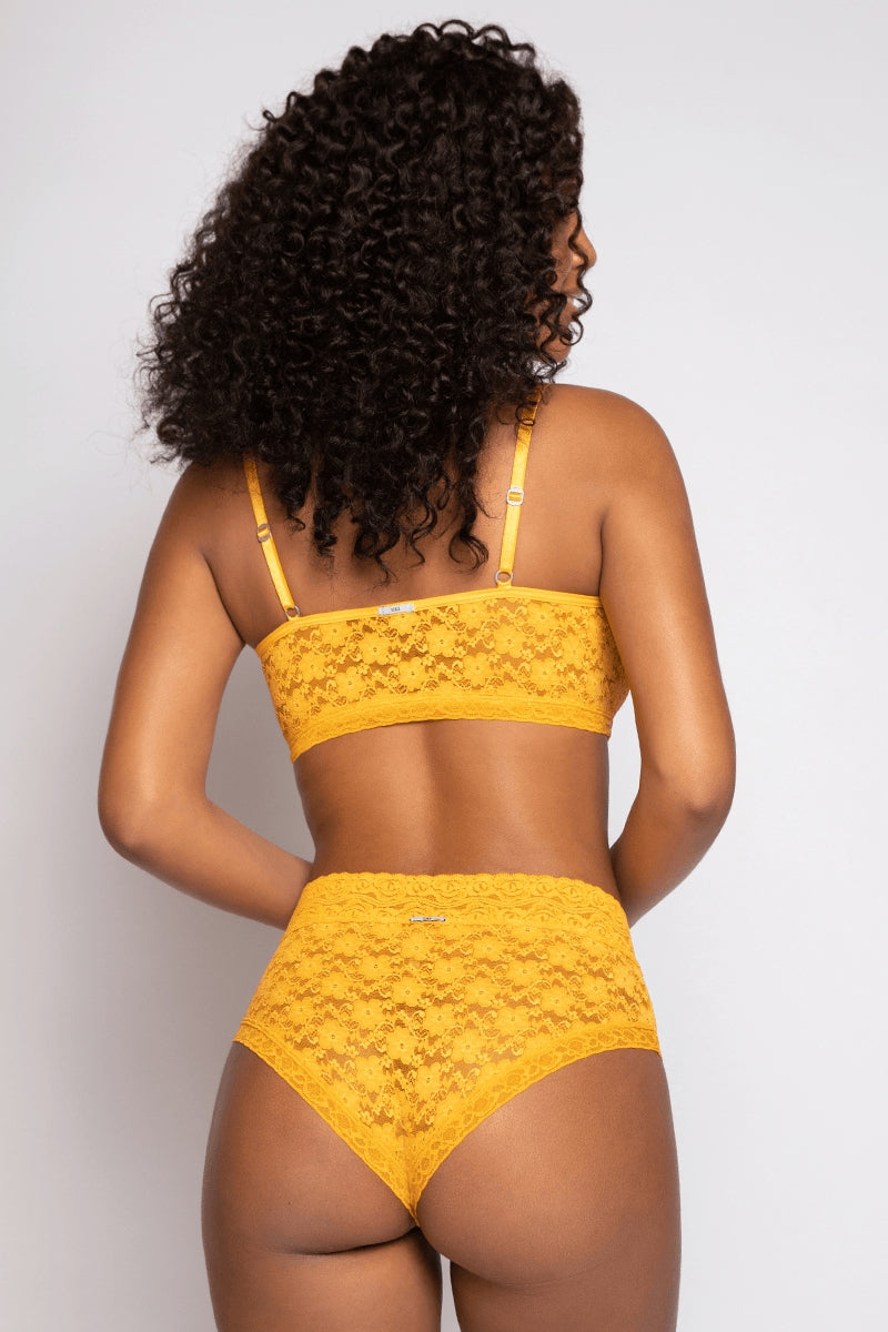 0AY4 -CALIFORNIA YELLOW