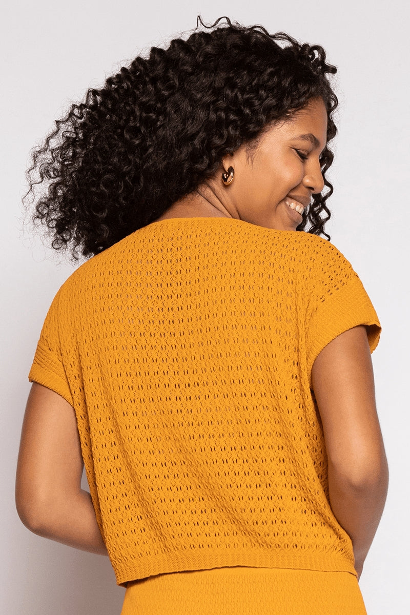 Ocre